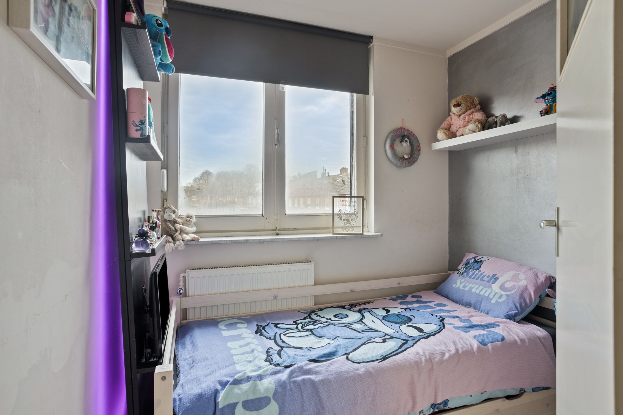 Photo 15 of Schildruwe 8