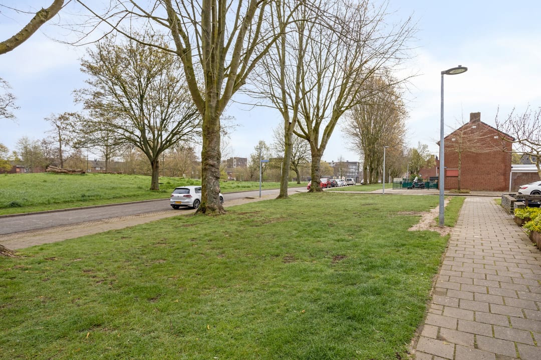 Photo 17 of Schildruwe 8