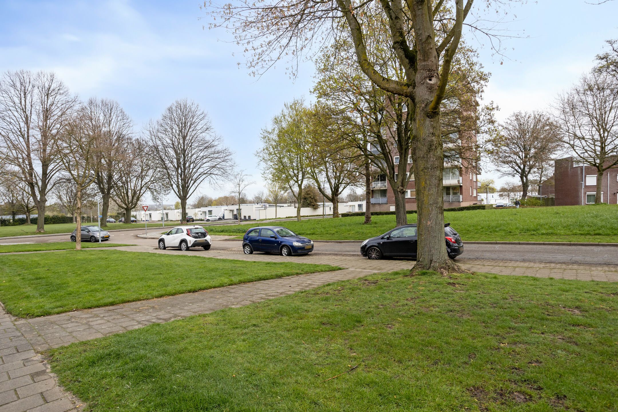 Photo 18 of Schildruwe 8