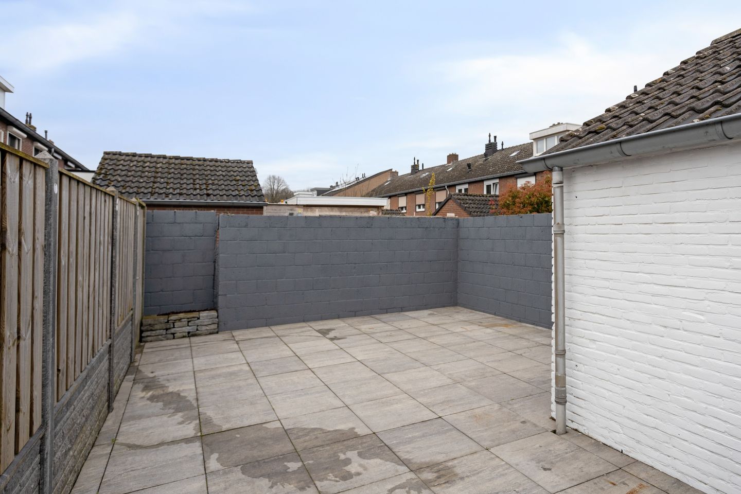 Photo 20 of Schildruwe 8