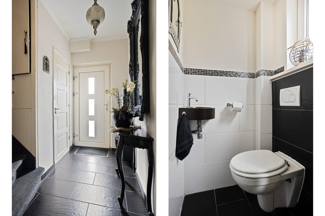 Photo 7 of Schildruwe 8