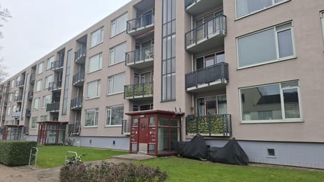undefined main image