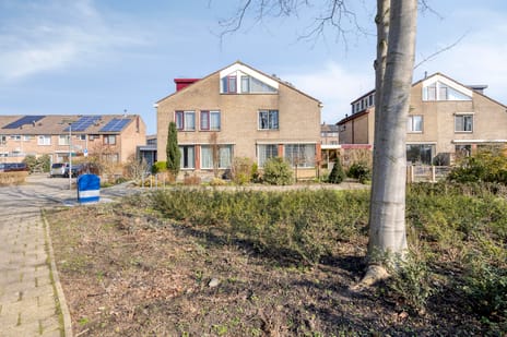 Kikkerveen thumbnail