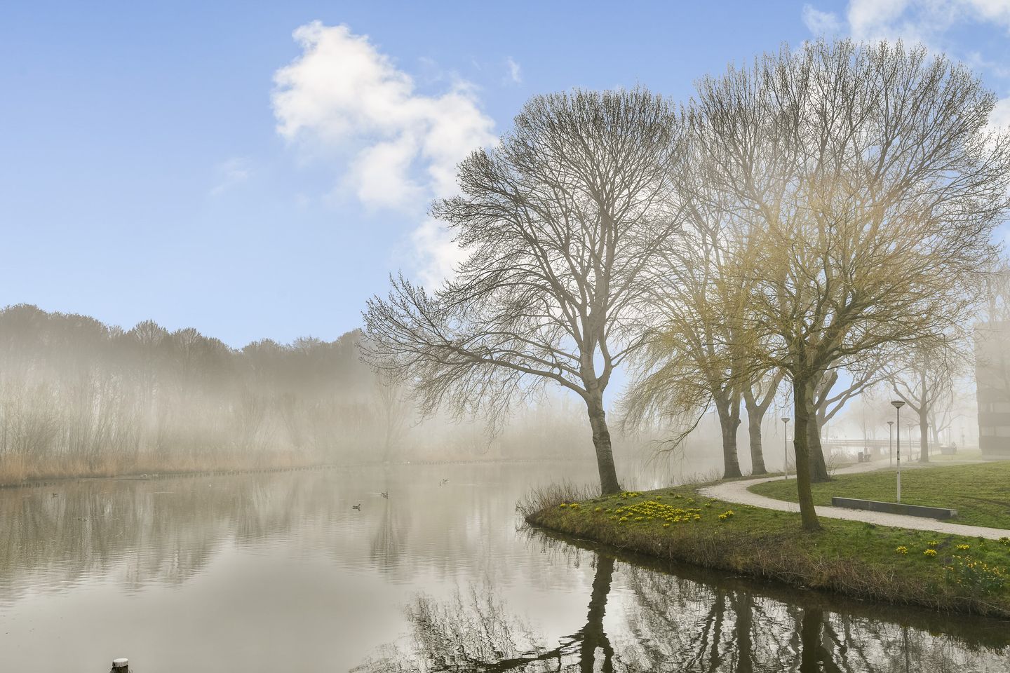 Foto 19 van President Allendelaan 101