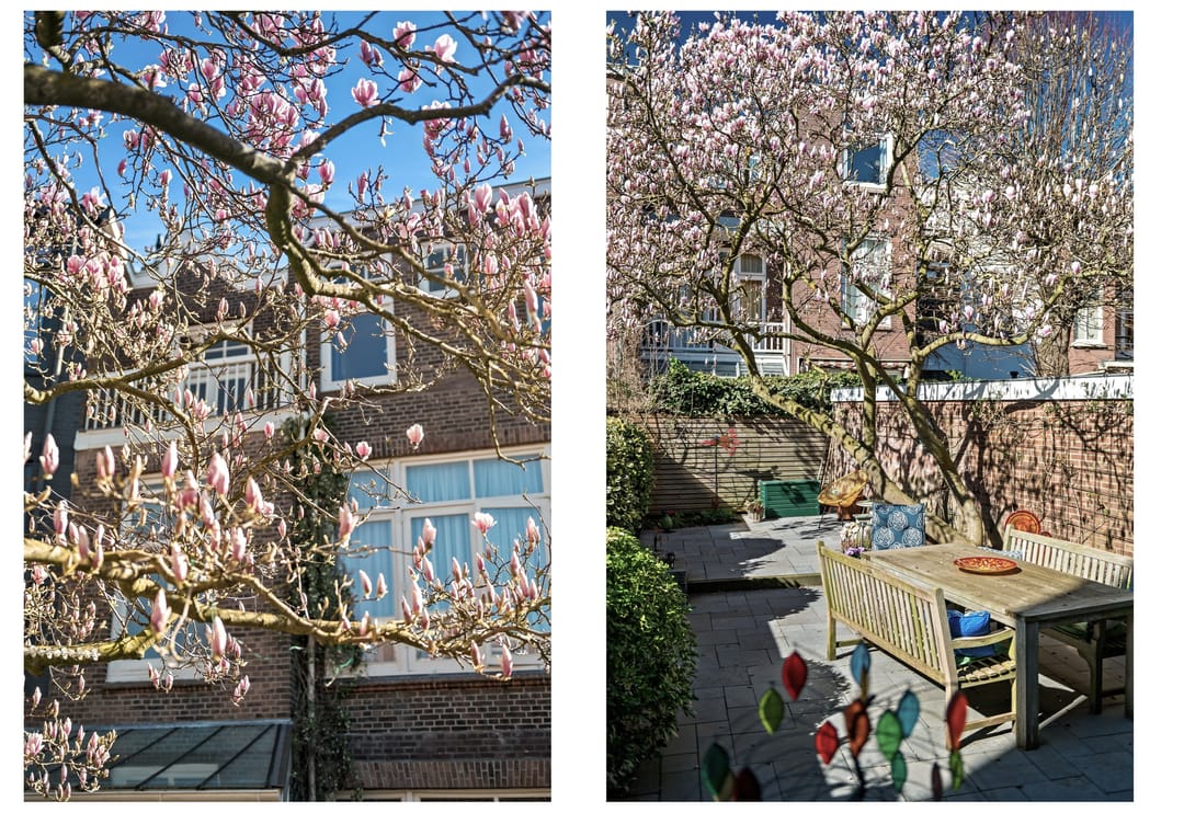 Photo 16 of Frederik Hendriklaan 9