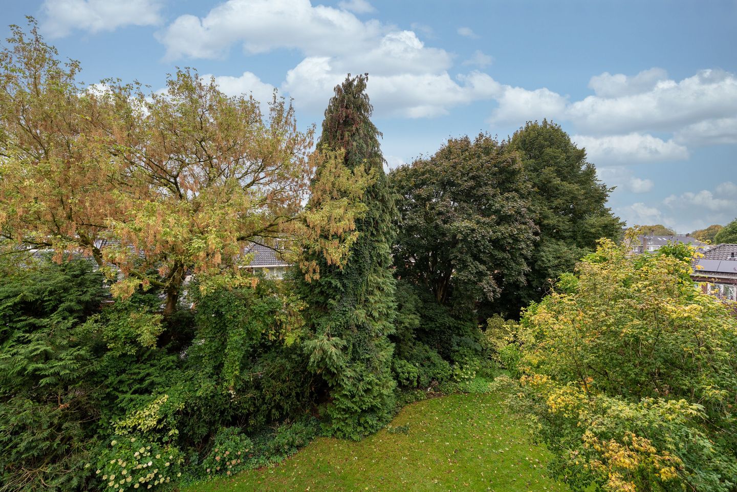 Foto 35 van Griffensteijnselaan 48