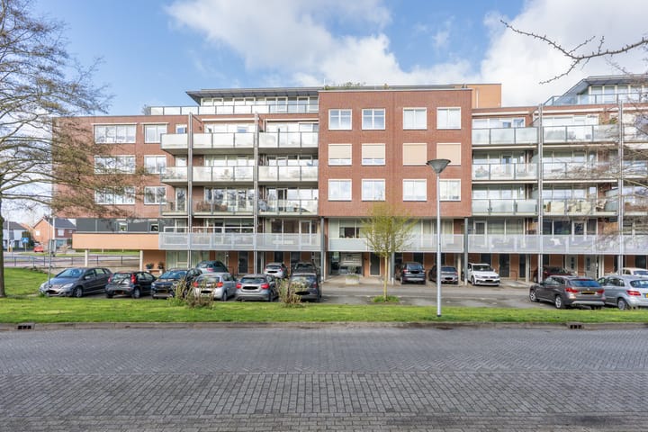 Rijsenborch 221
