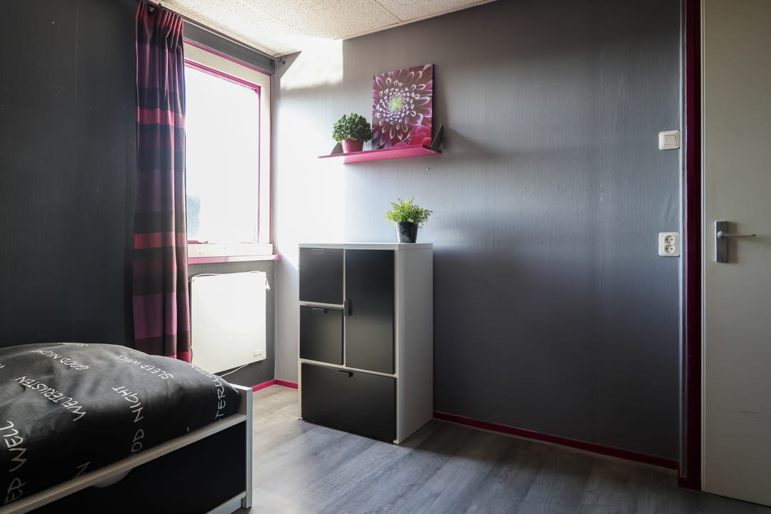 Foto 37 van De Boek 13