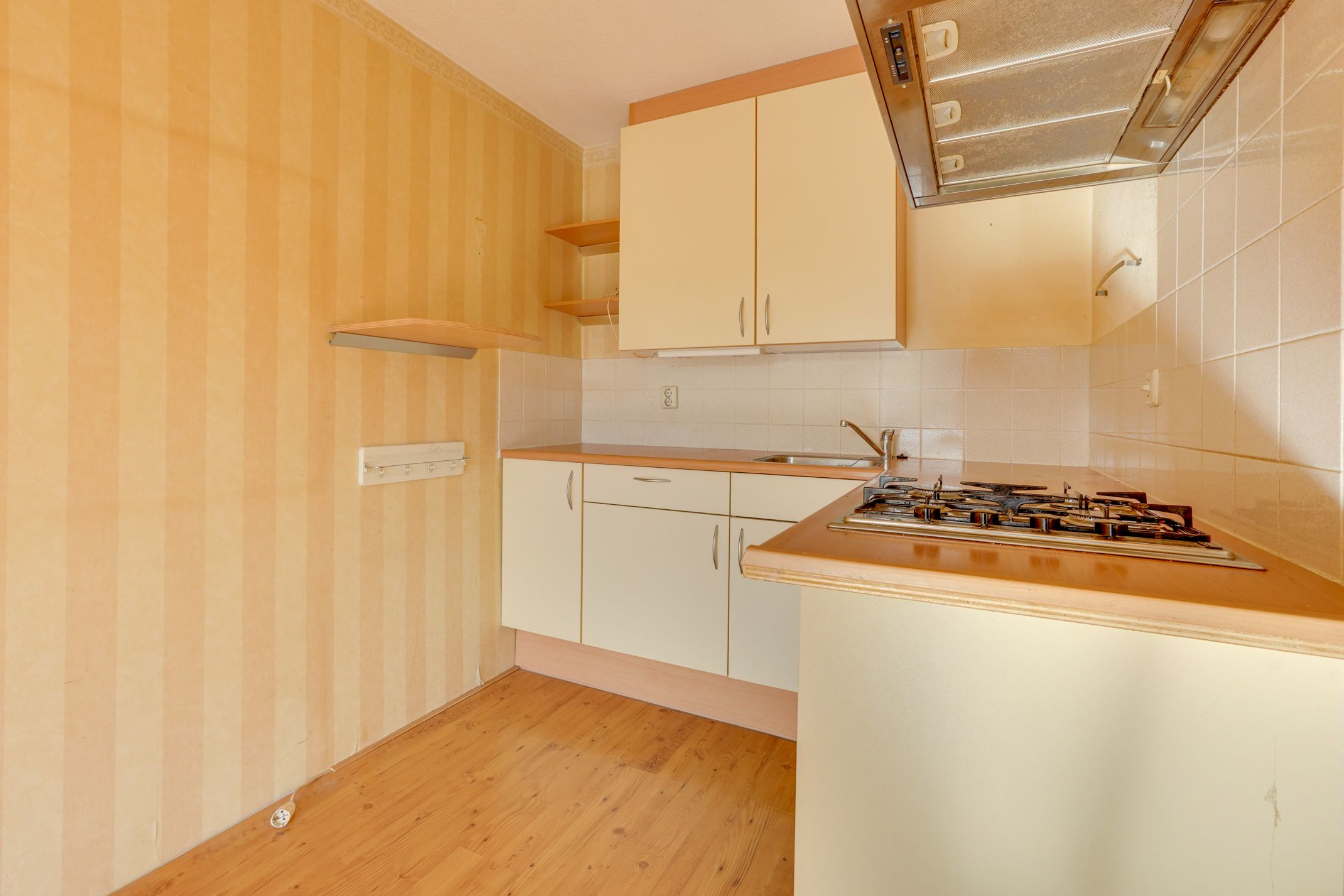 Foto 18 van Rijsenborch 221