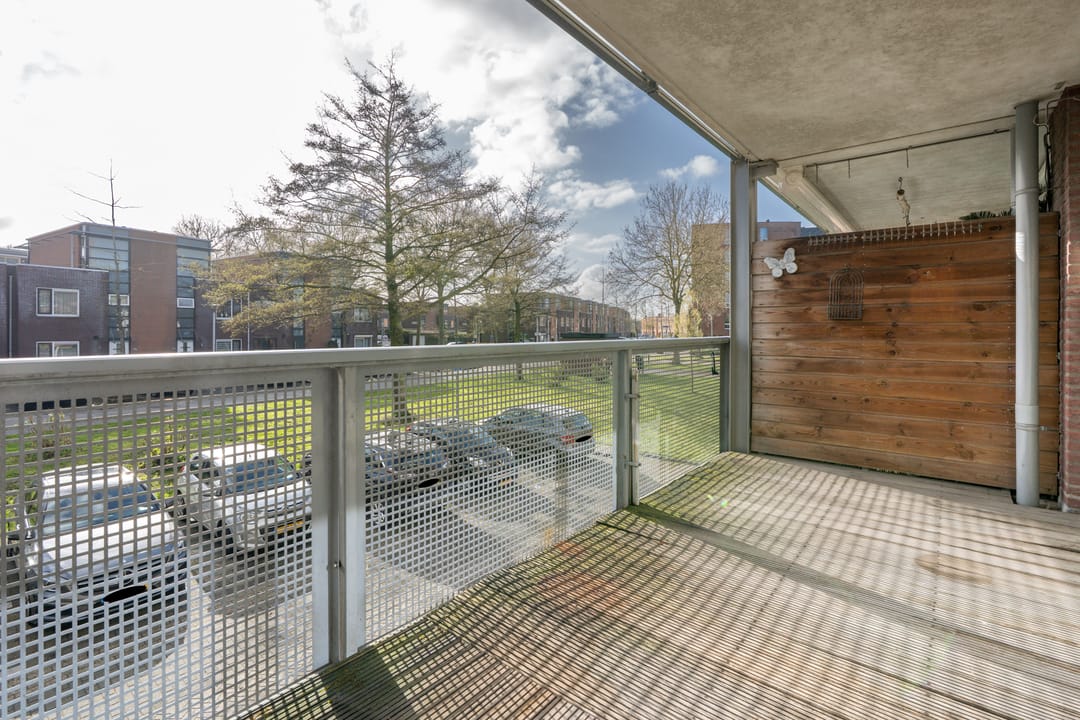 Foto 23 van Rijsenborch 221