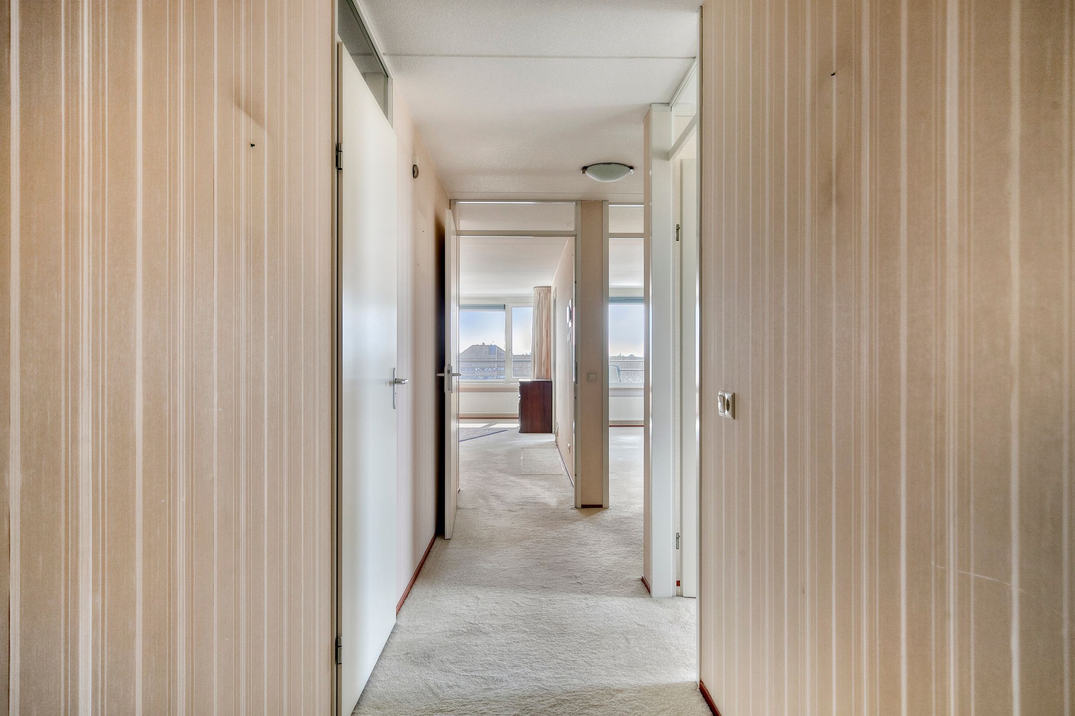 Photo 18 of Zijpe 140