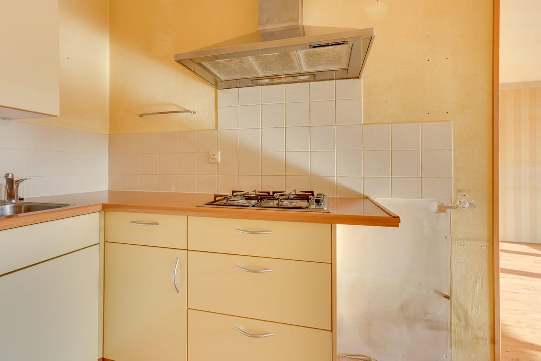 Foto 17 van Rijsenborch 221