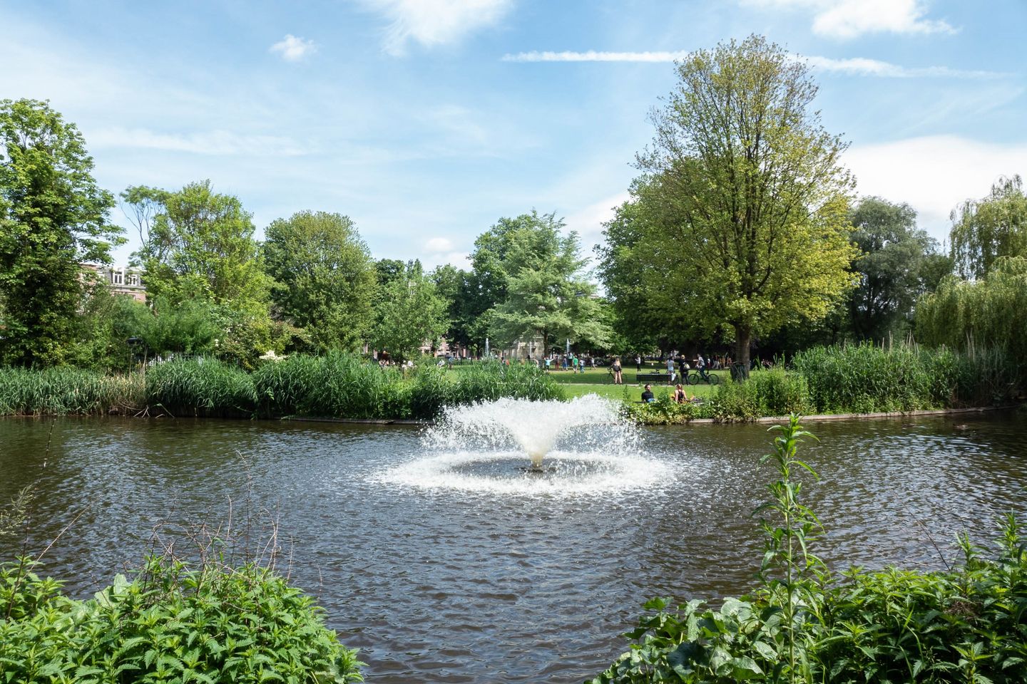 Foto 19 van Ceintuurbaan 414-3A