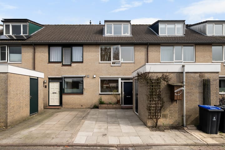 Madelief 41 main image