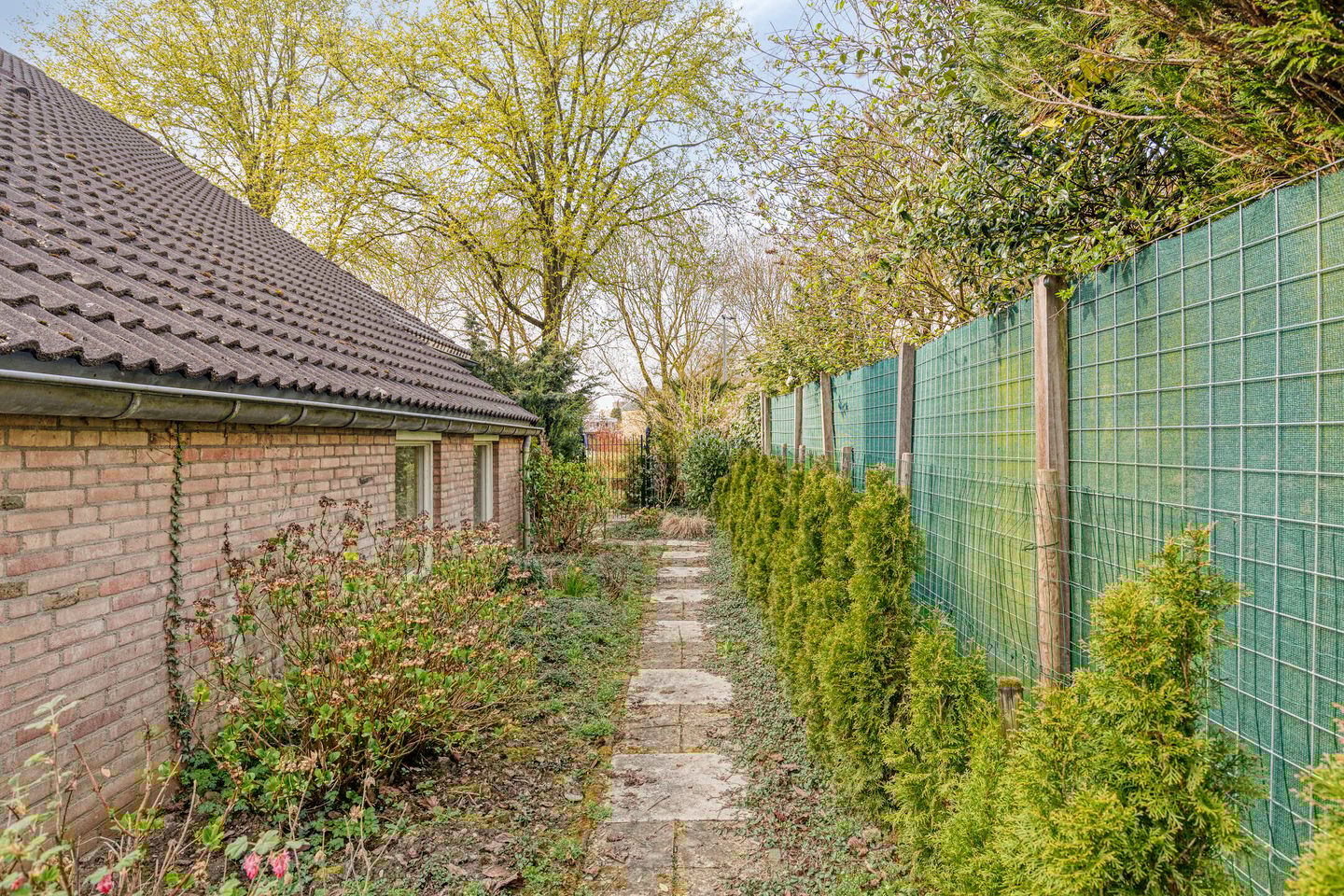 Foto 35 van Bergumlaan 2