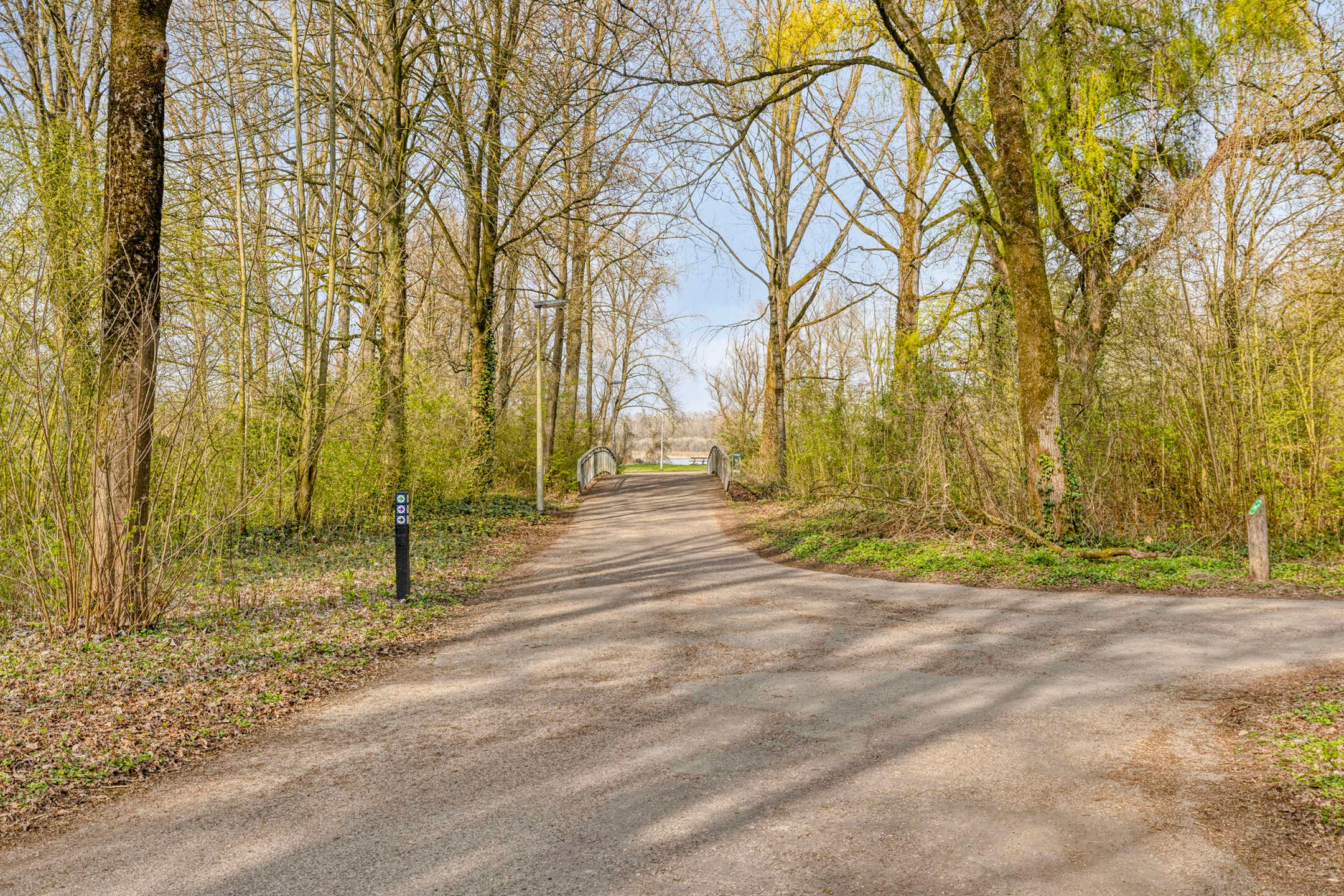 Foto 63 van Bergumlaan 2