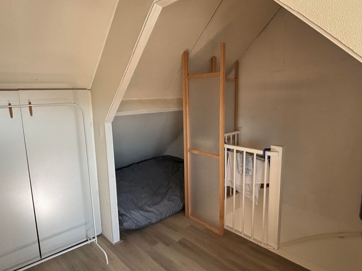 Foto 19 van Schaapsloopven 8