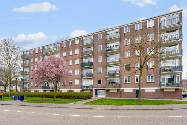 Maassingel 50
