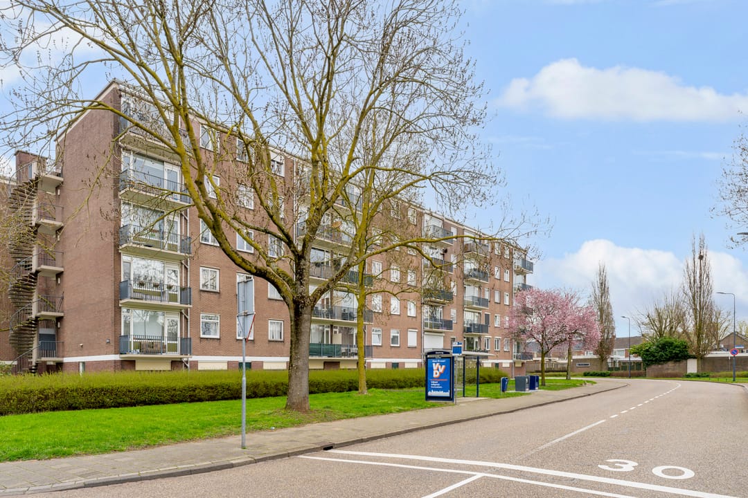 Photo 32 of Maassingel 50