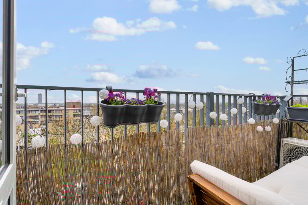 Photo 8 of Maassingel 50