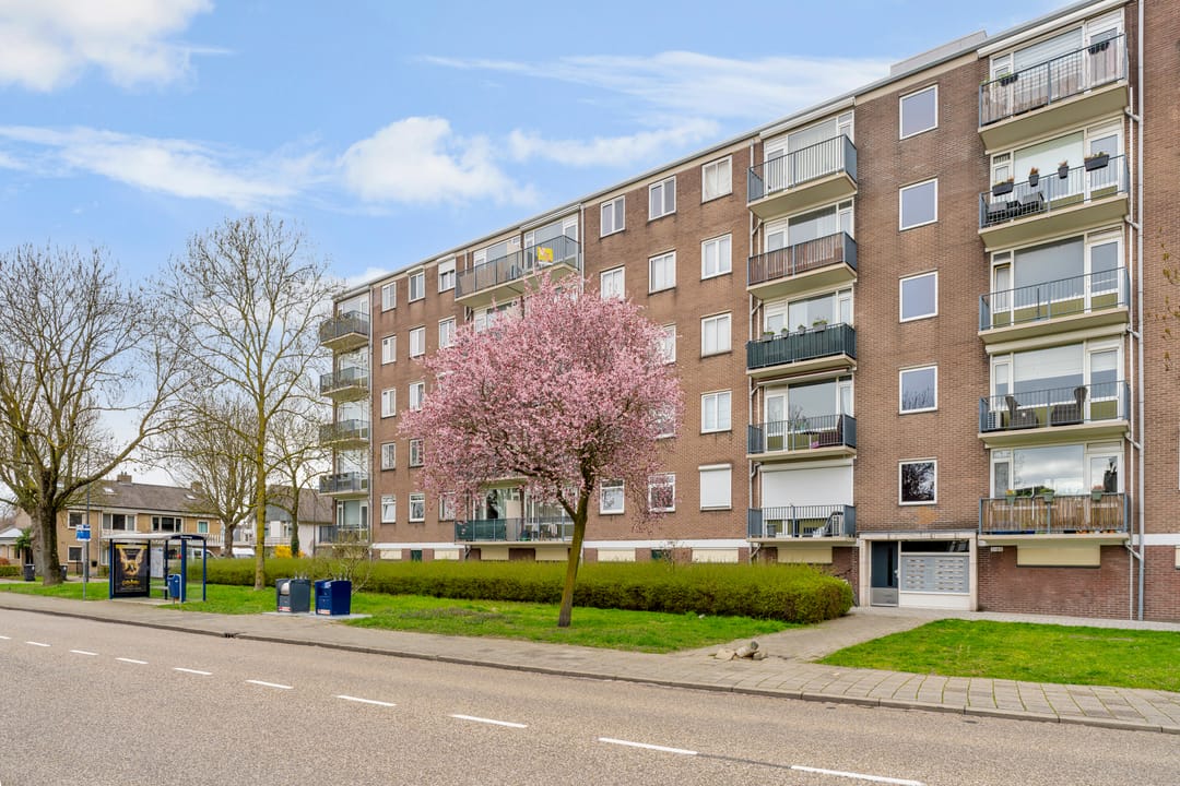 Photo 31 of Maassingel 50