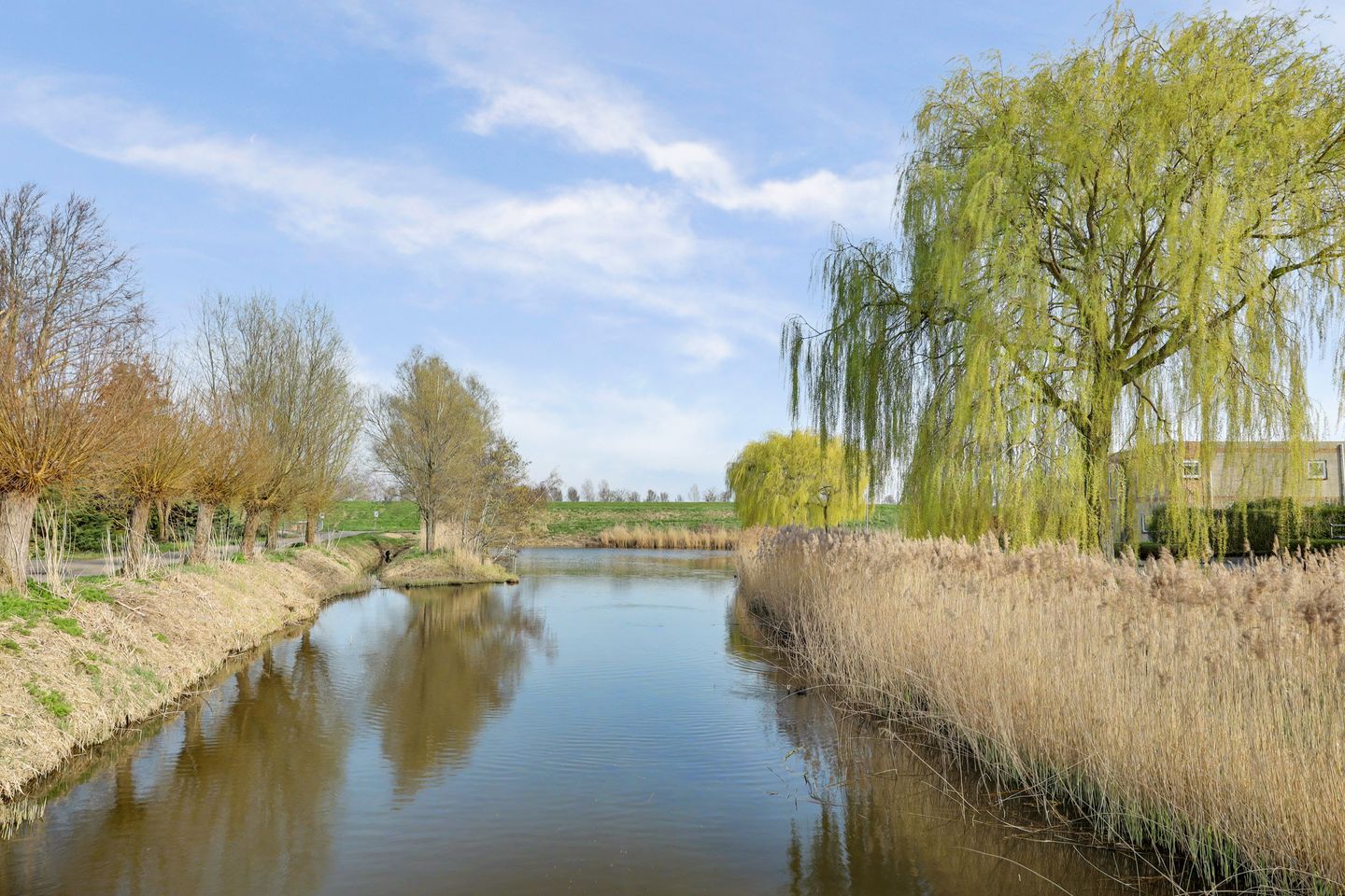 Foto 49 van Juliana van Stolberglaan 20