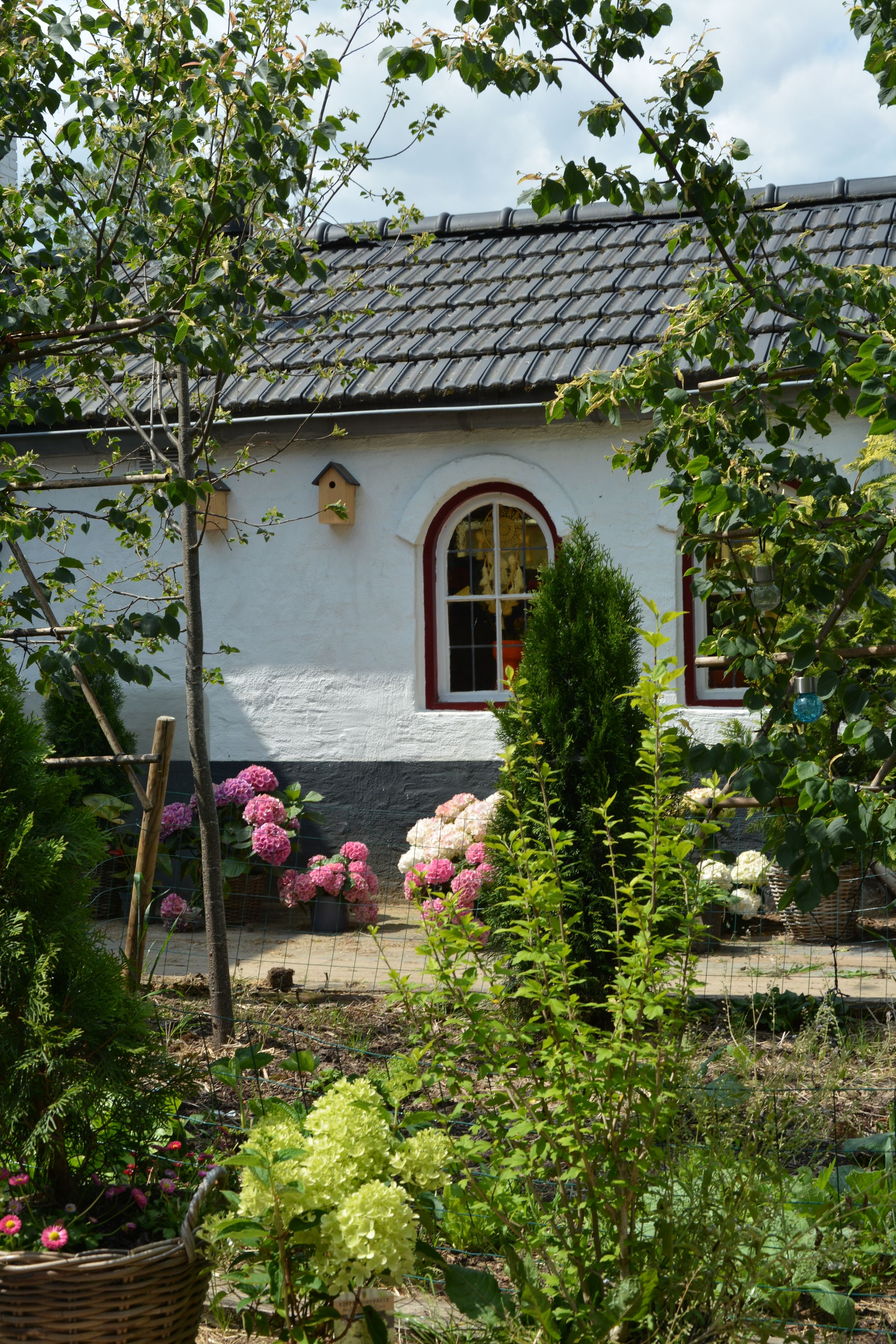 Foto 42 van Hanikerweg 3