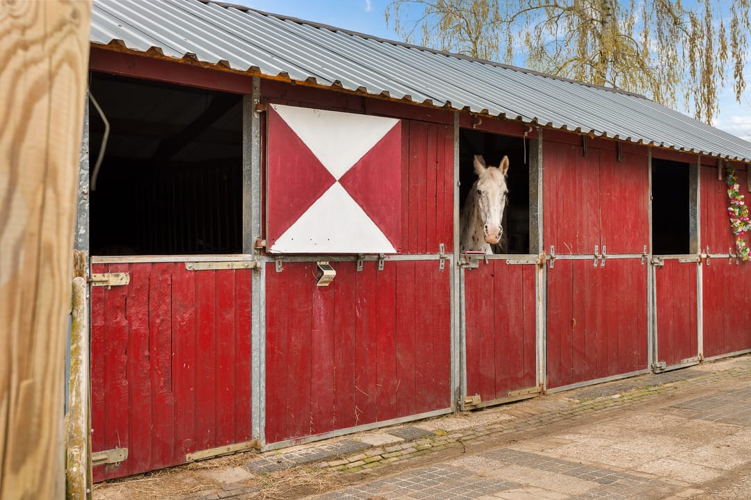 Foto 52 van Hanikerweg 3