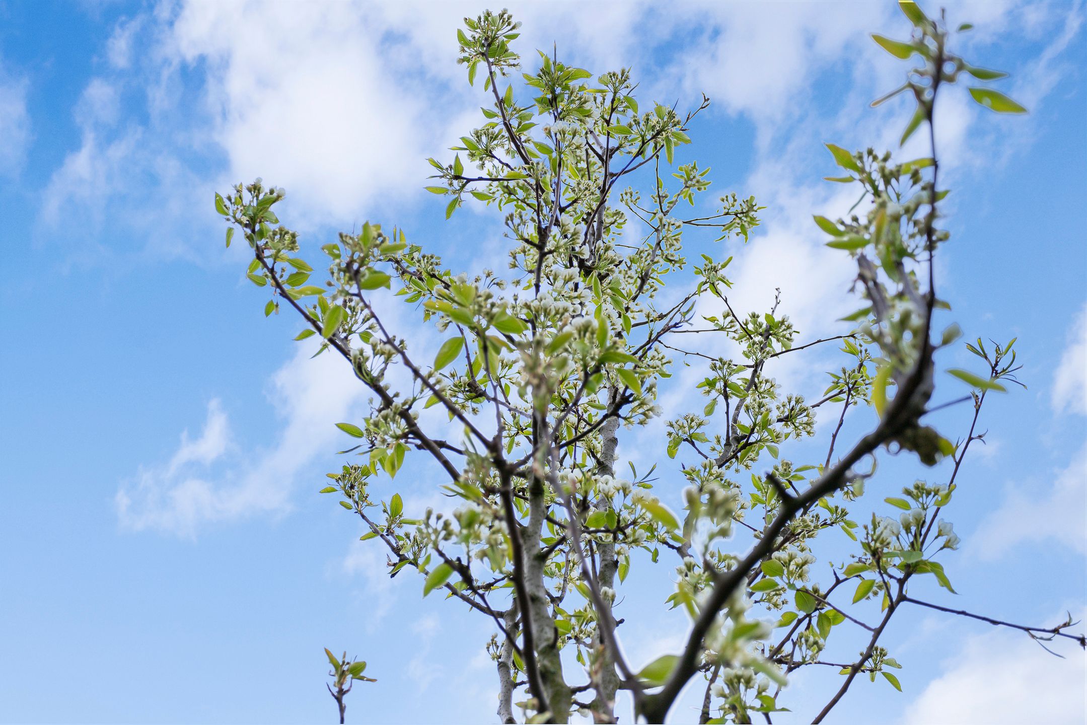 Foto 57 van Hanikerweg 3