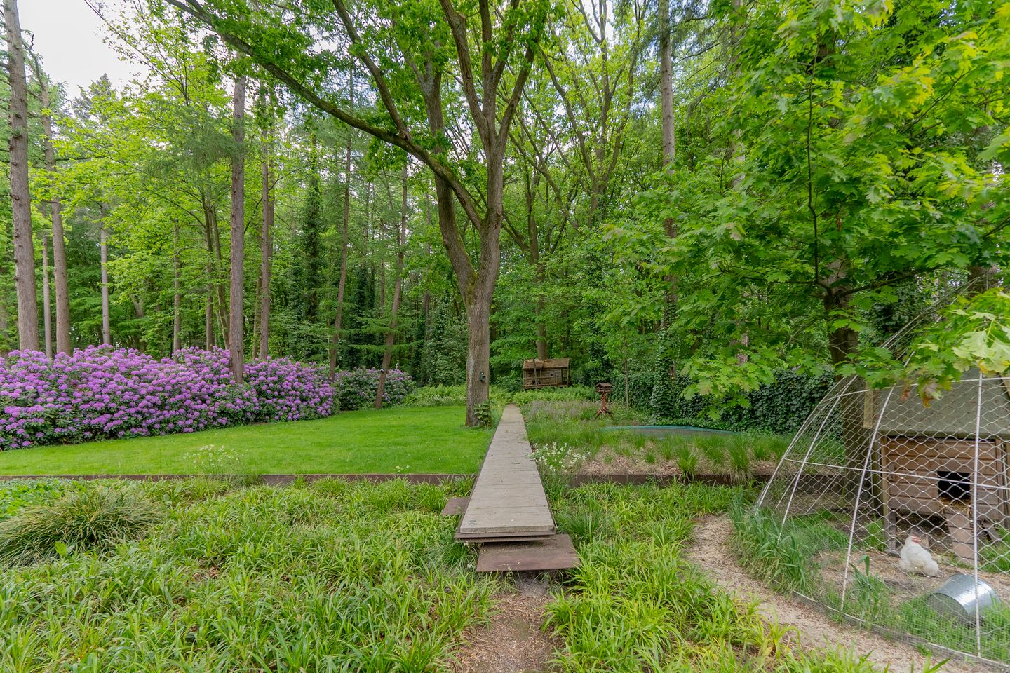 Foto 59 van Raboes 14