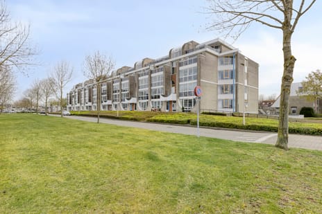 Ansjovislaan thumbnail