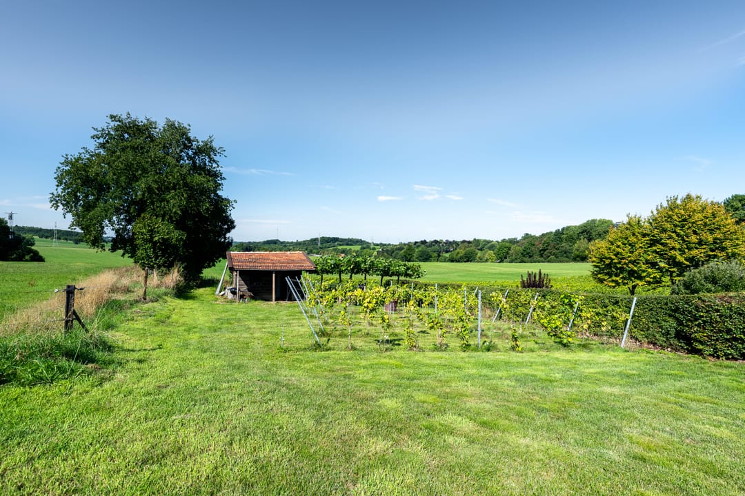 Foto 38 van Schutteheiweg 10