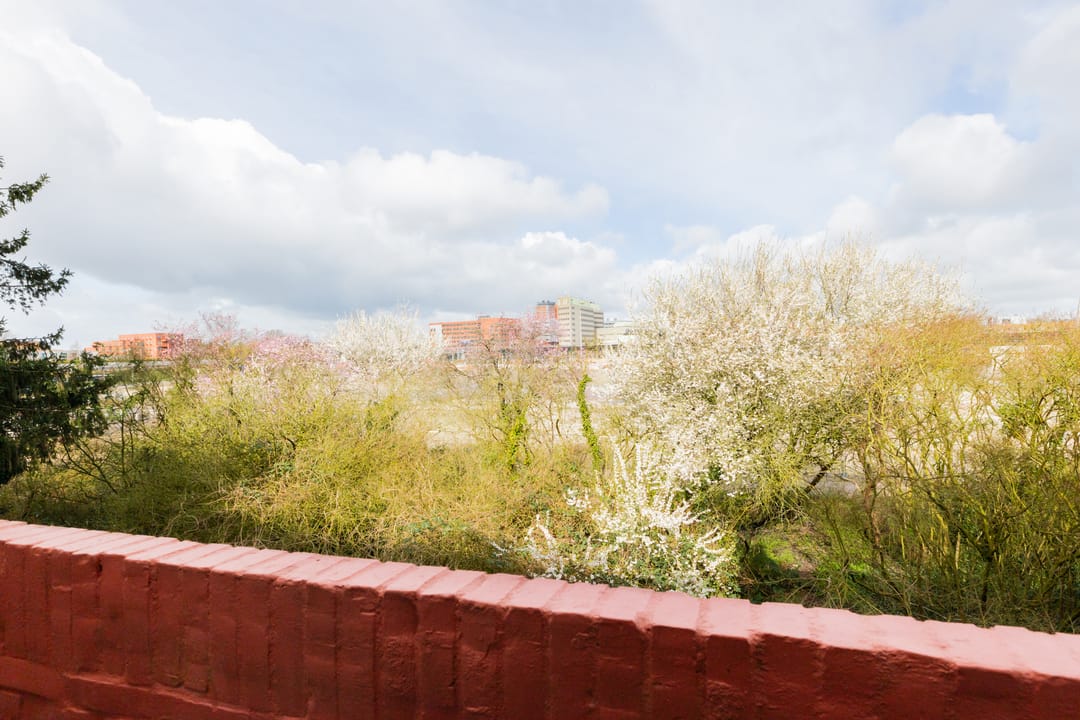 Foto 38 van Parkweg 57-A