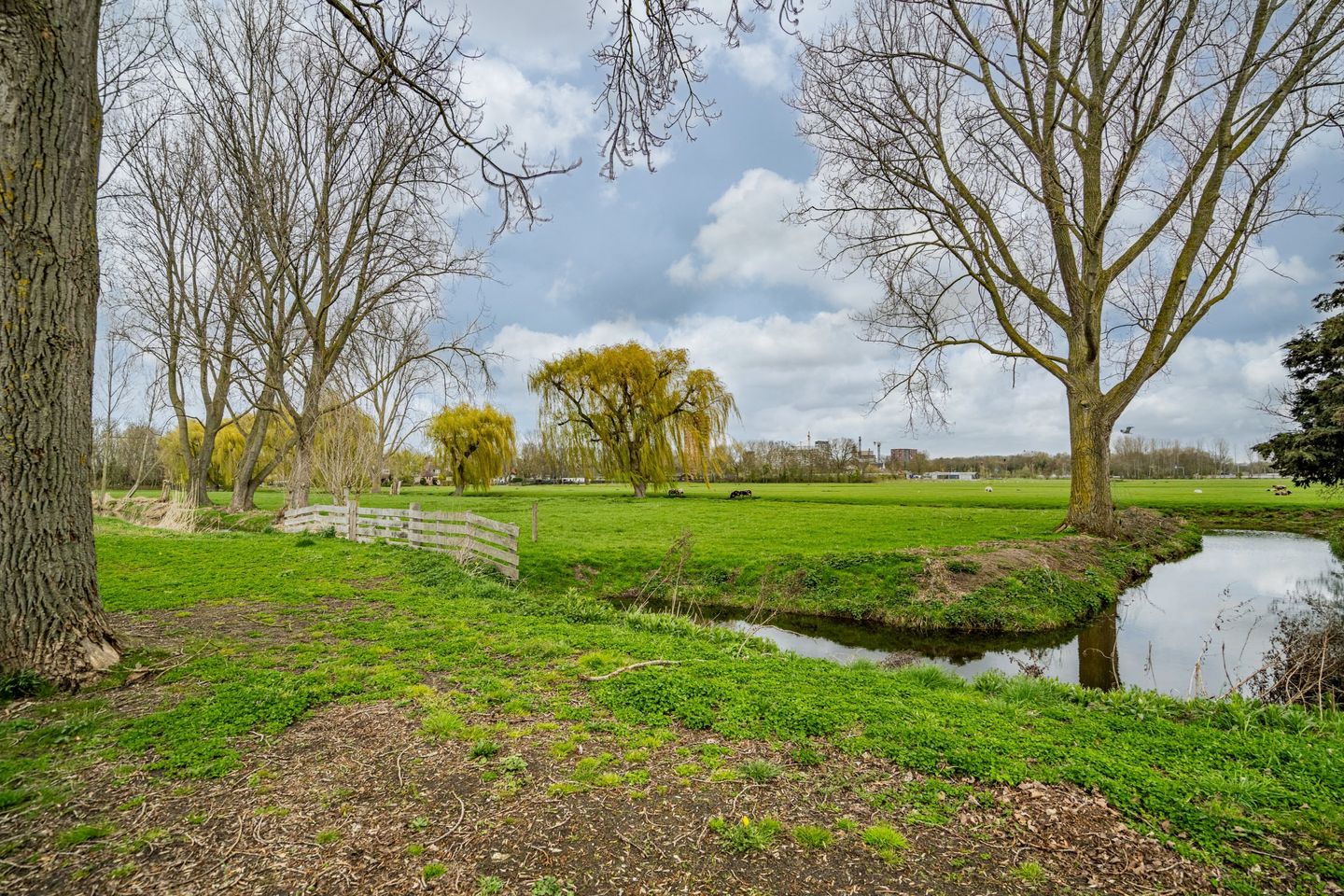 Foto 4 van Vlietpark 59