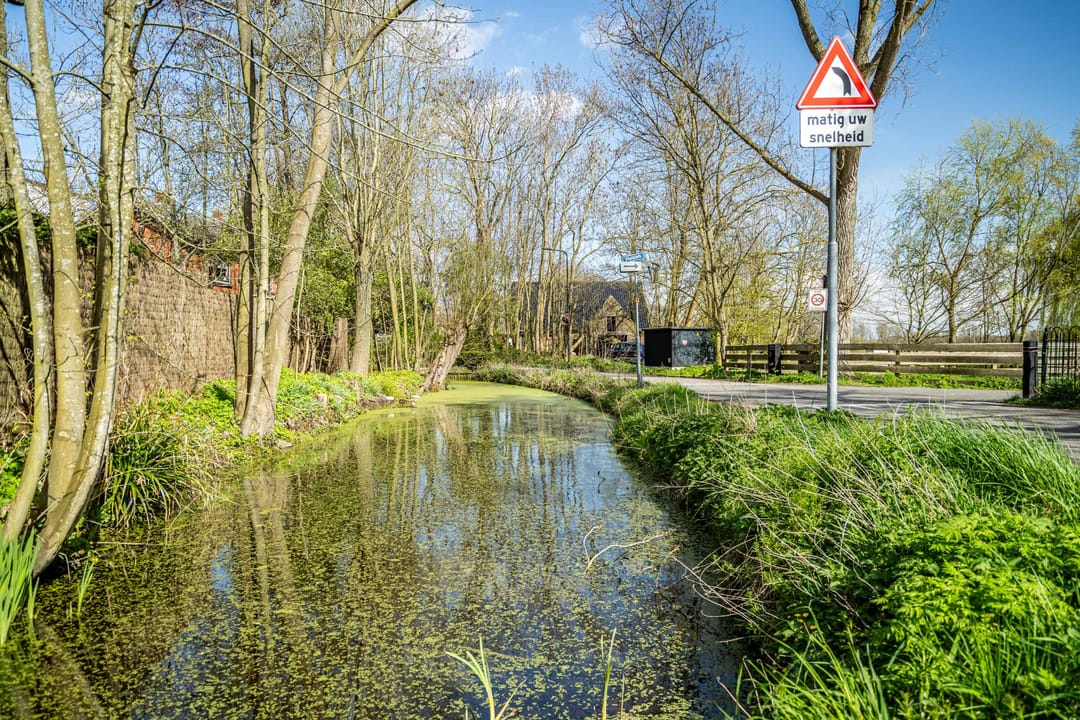 Foto 43 van Vlietpark 59