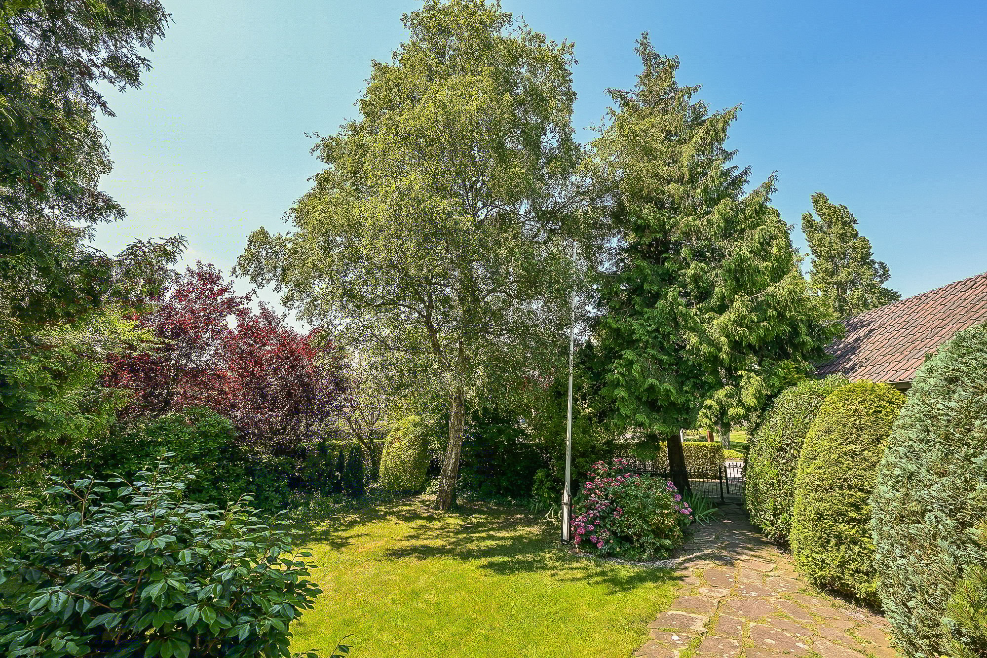 Foto 27 van Provincialeweg 250