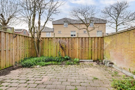 Terborch 18 tertiary image