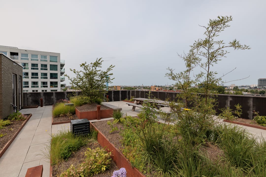 Photo 8 of Pieter Goosstraat 60