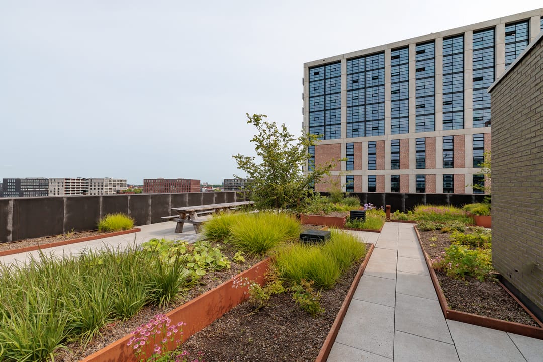 Photo 11 of Pieter Goosstraat 60