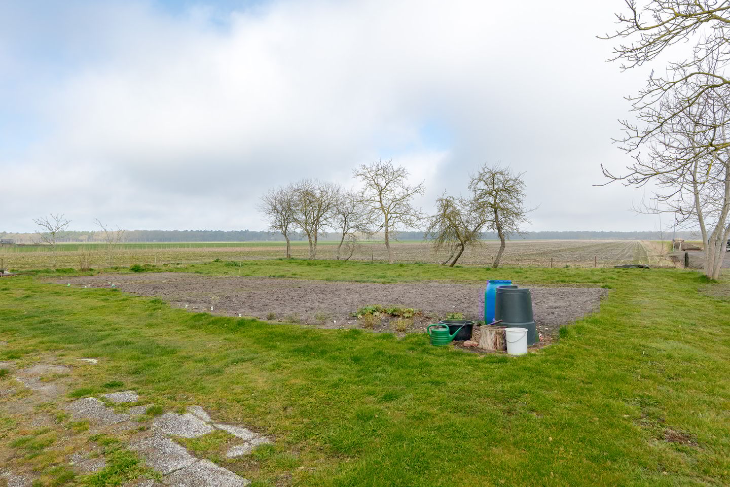 Photo 50 of Burg v Wijngaardenstraat 19