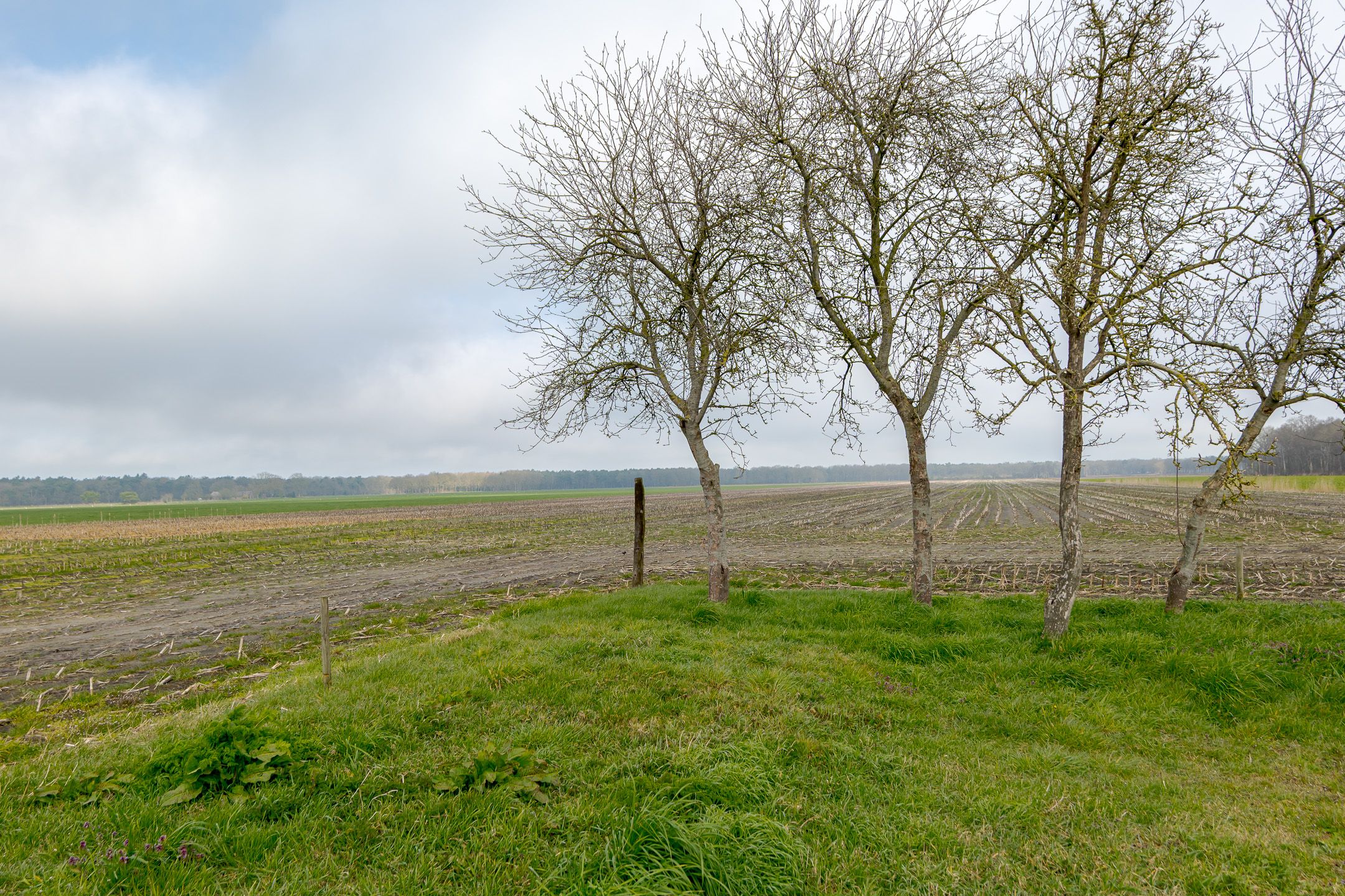 Photo 51 of Burg v Wijngaardenstraat 19