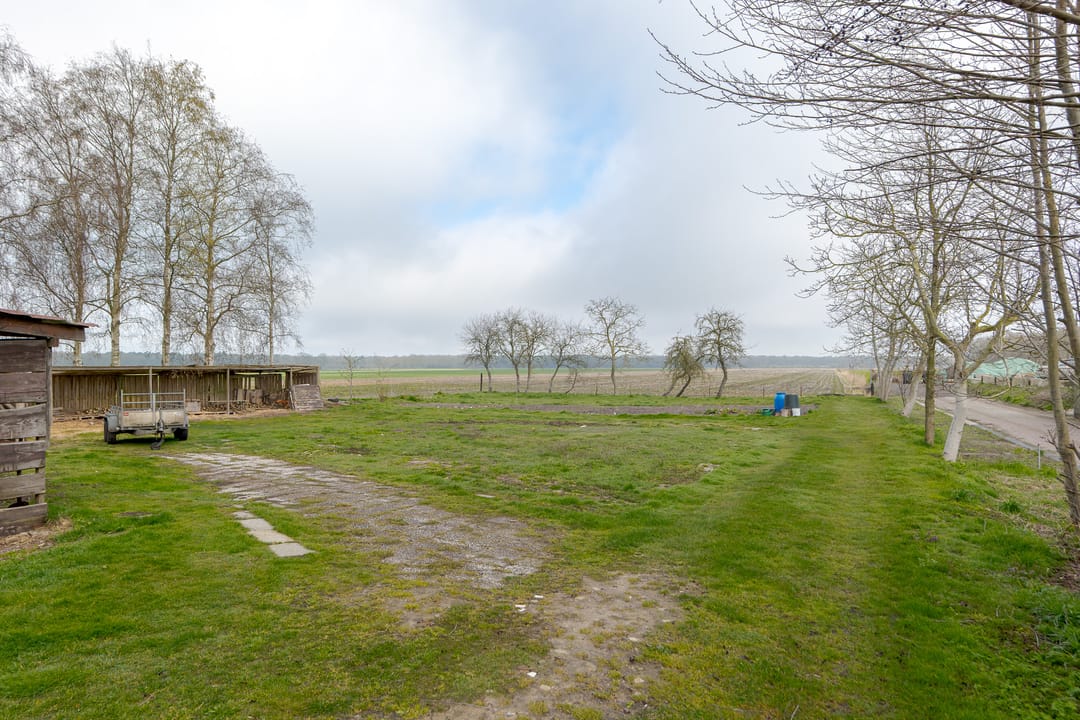 Photo 47 of Burg v Wijngaardenstraat 19