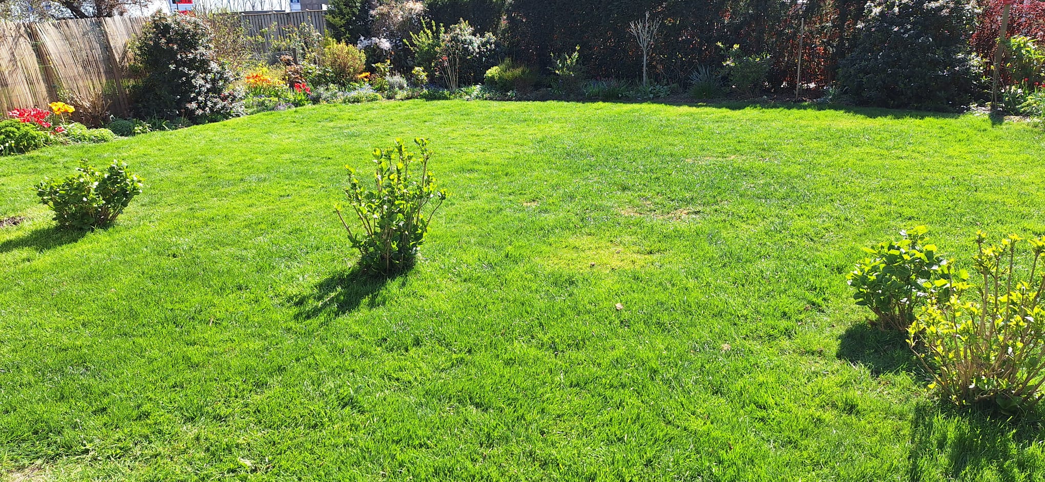 Foto 36 van Celsiusstraat 35