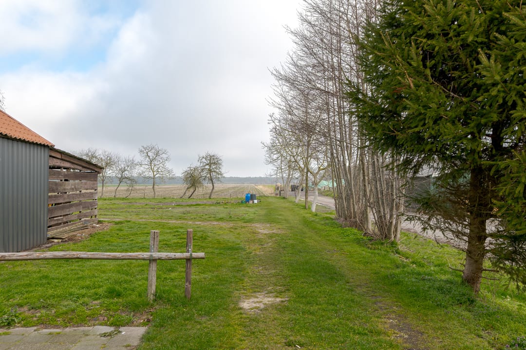 Photo 46 of Burg v Wijngaardenstraat 19