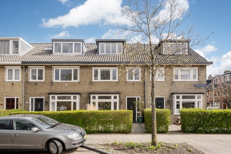 Van Oosten de Bruijnstraat thumbnail