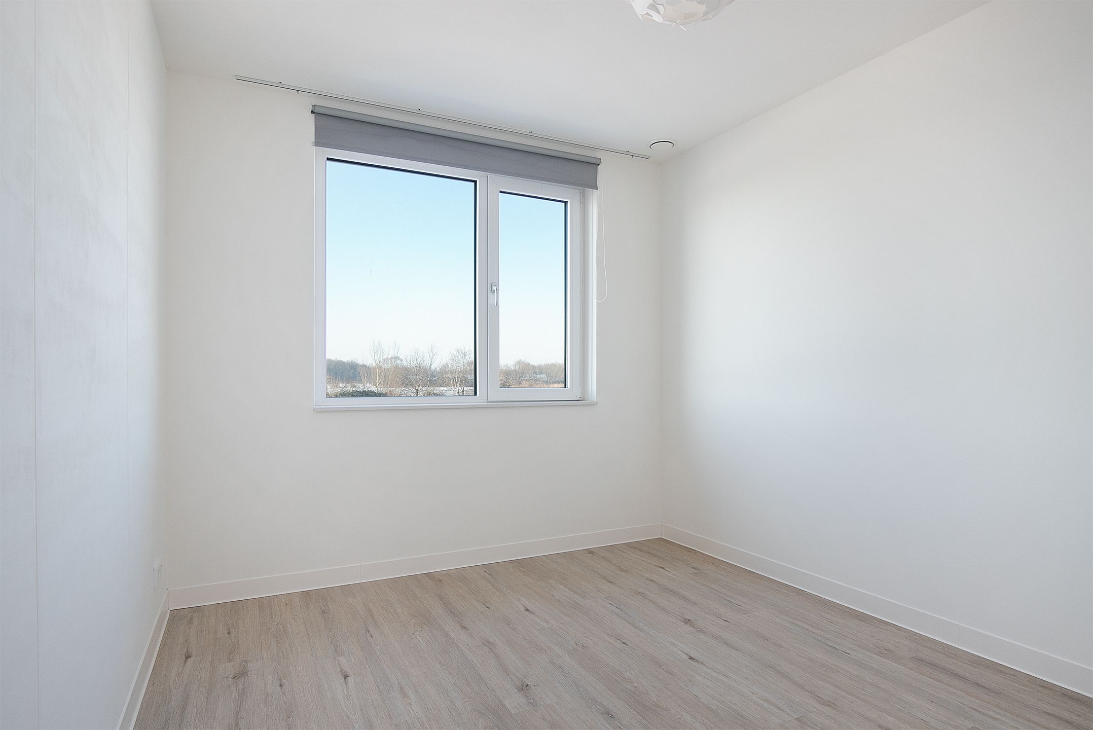 Foto 18 van Ranonkellaan 247