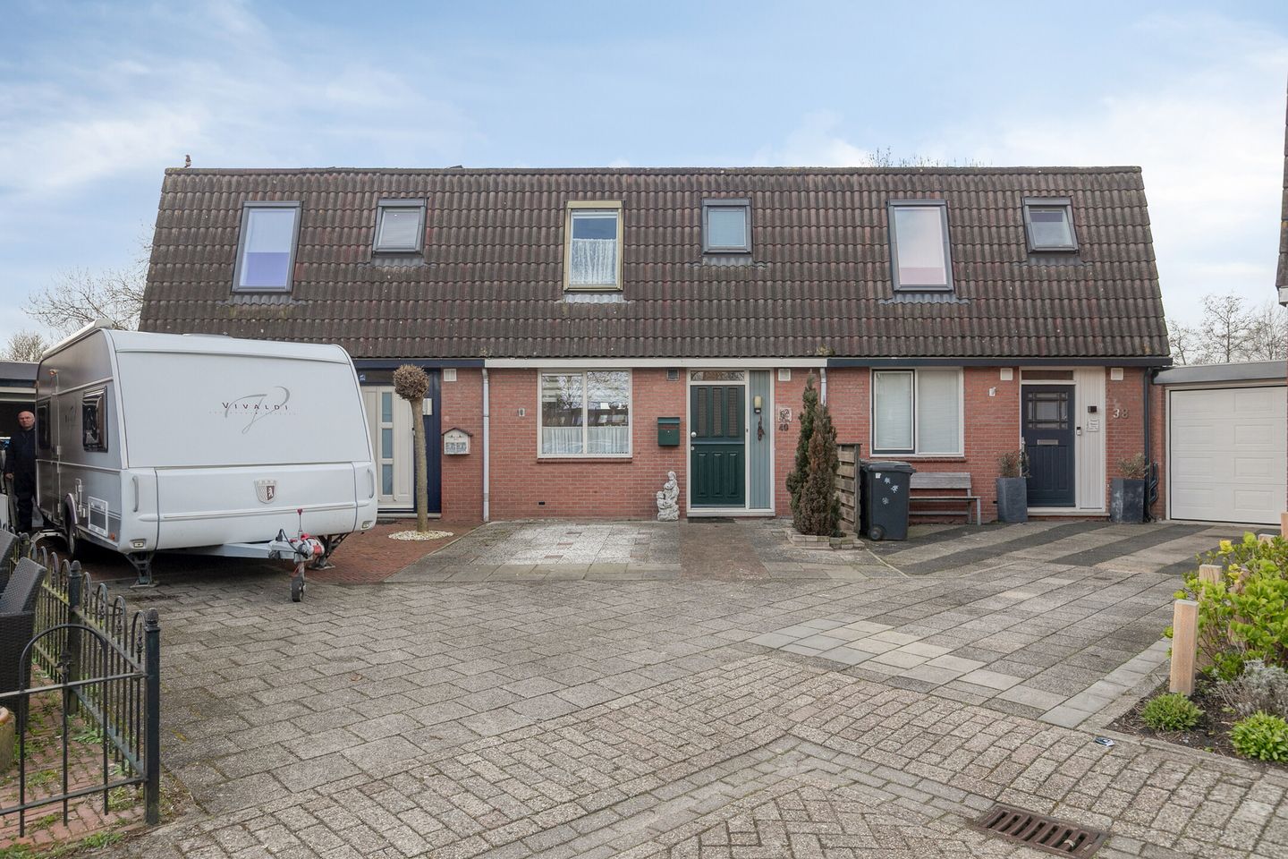 Wollegras 40
