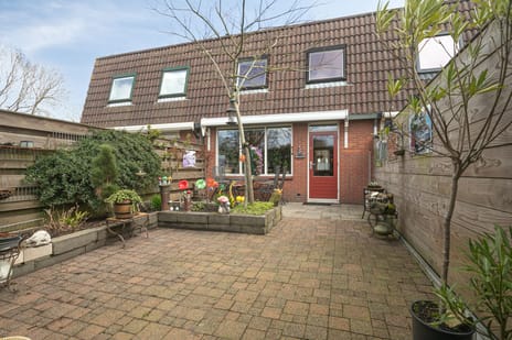 Wollegras 40 secondary image