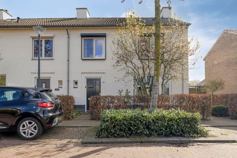 Van Loëstraat thumbnail