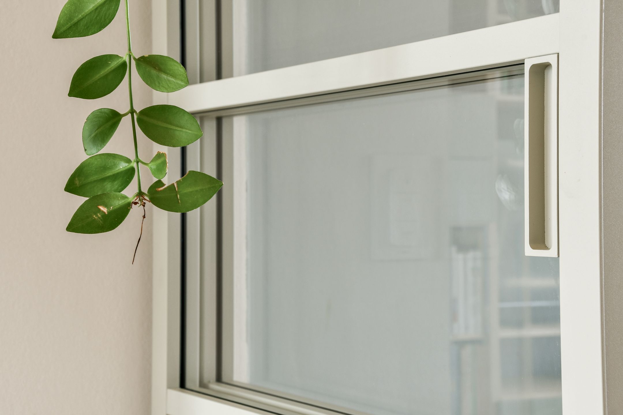 Foto 9 van Woiskistraat 104